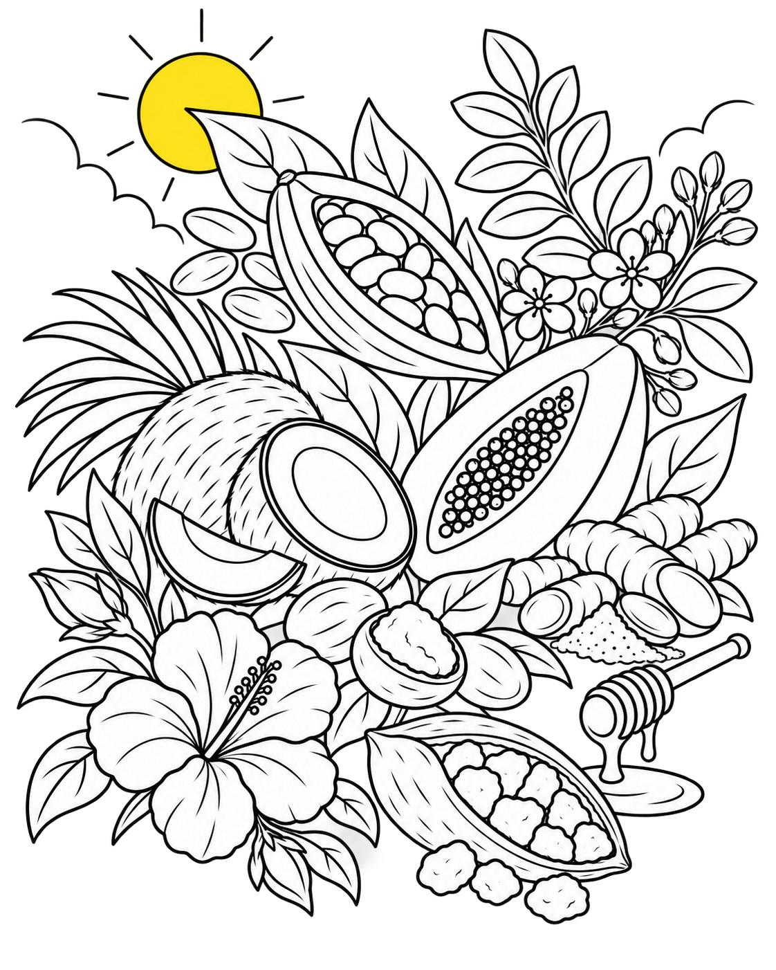 Illustration botanique des matières premières naturelles AllianzNature